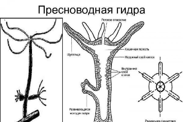 Как пополнить баланс на мега даркнет